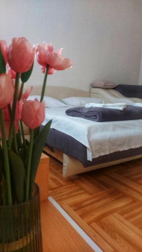 Apartman studio Jefimija